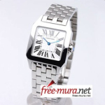 까르띠에 산토스 드모아젤 Medium