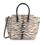 발렌티노 2013 신상 지브라