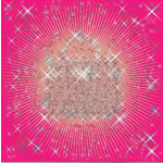 에르메스  스카프