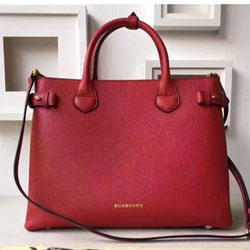 버버리 토드&숄더백