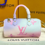 루이비통 빠삐용 M46078