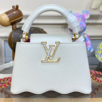 루이비통 카퓌신 미니 M22121